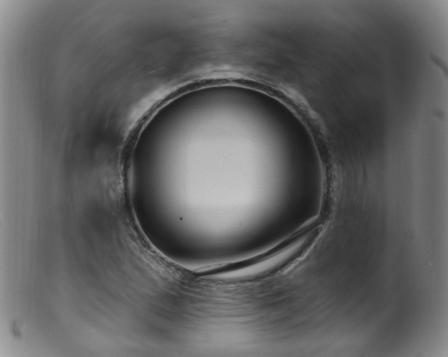 X0000099481167200805161128