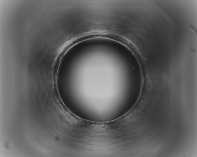X0000099481168200805161128