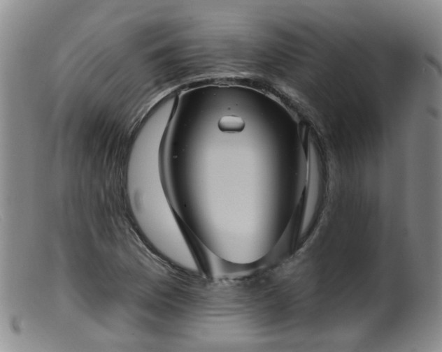 X0000099481169200805161128