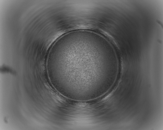 X0000099481170200805161128