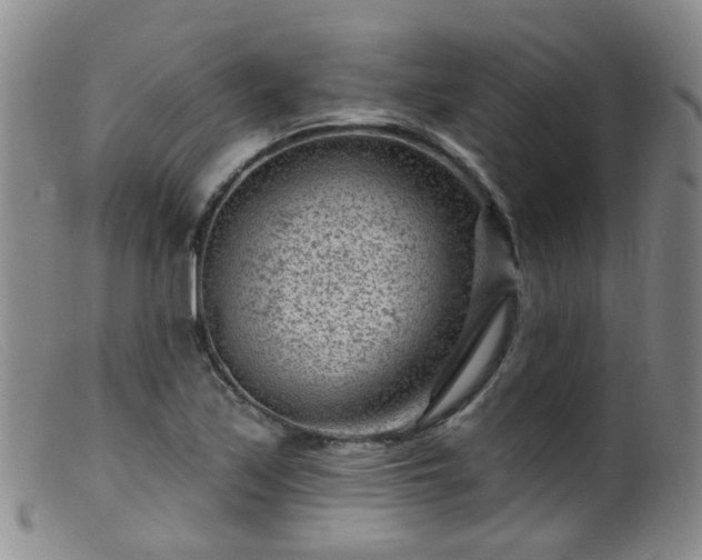 X0000099481171200805161128