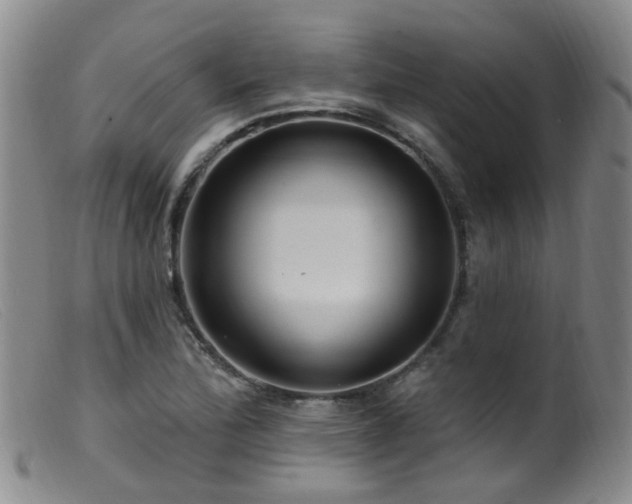 X0000099481172200805161128
