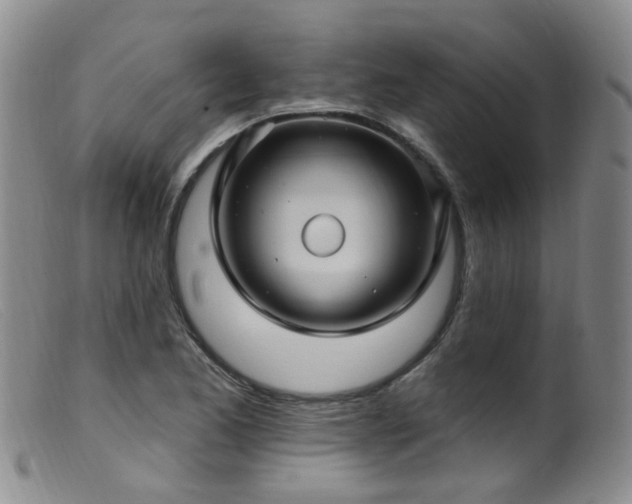 X0000099481173200805161128