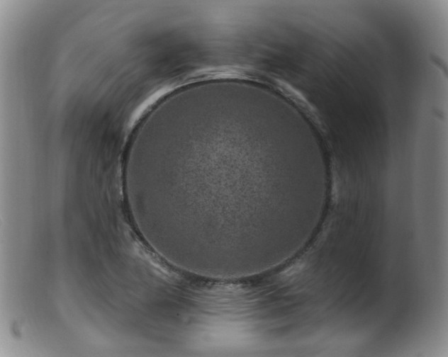 X0000099481174200805161128