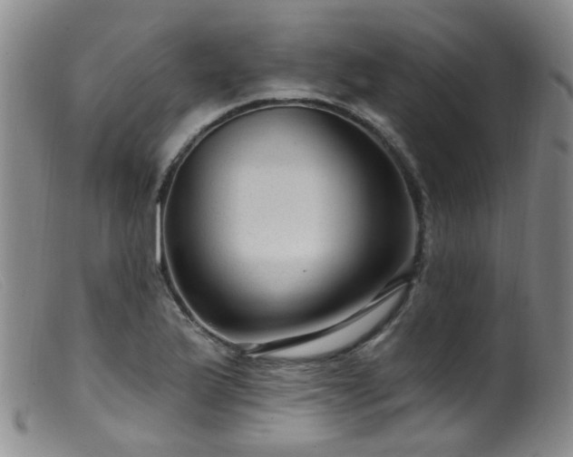 X0000099481175200805161128