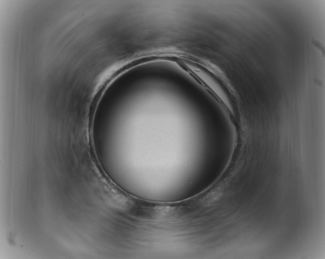 X0000099481176200805161128