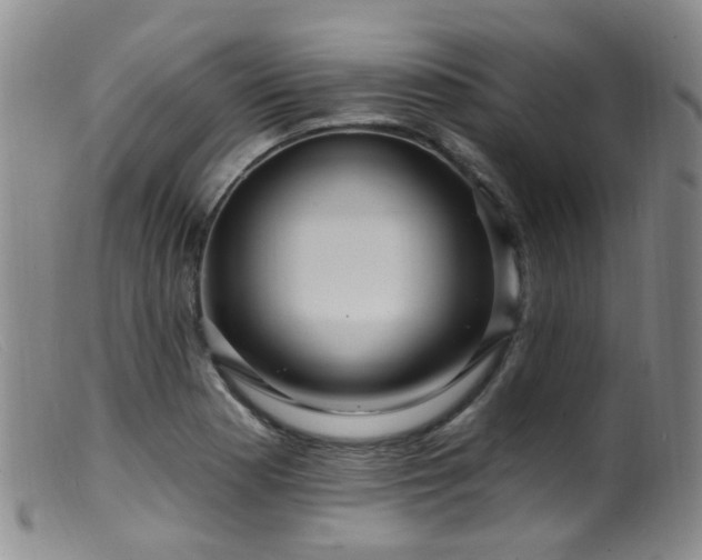 X0000099481177200805161128