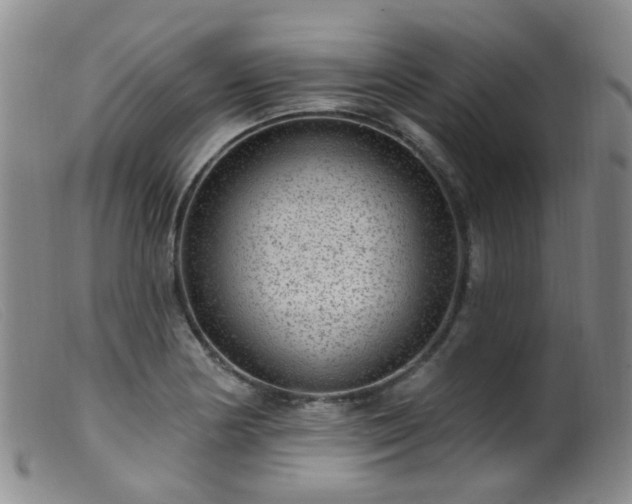 X0000099481178200805161127