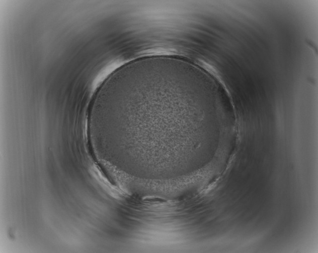 X0000099481179200805161127