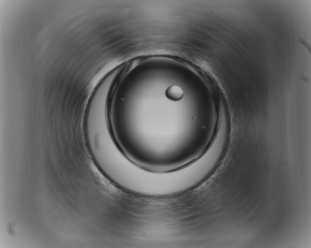 X0000099481181200805161127