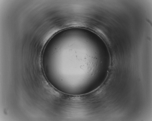 X0000099481182200805161127