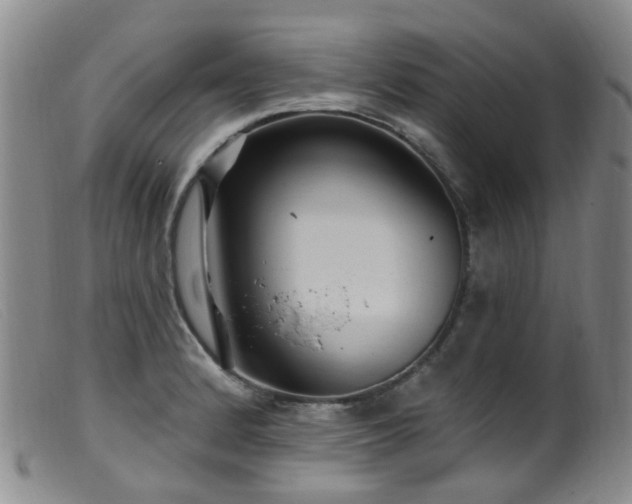 X0000099481184200805161127