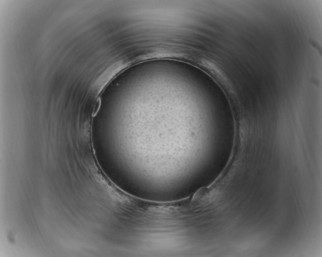 X0000099481185200805161127