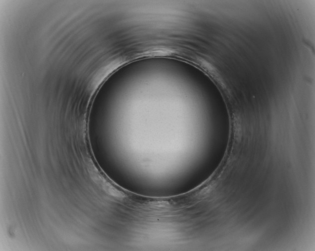 X0000099481186200805161127