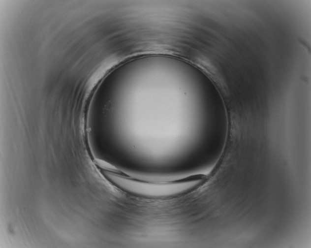 X0000099481188200805161127