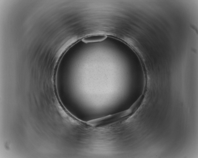 X0000099481189200805161127