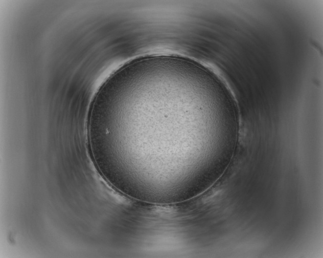 X0000099481191200805161127