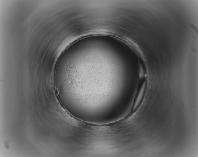 X0000099481192200805161127