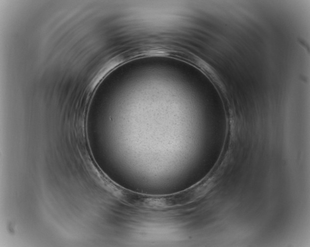 X0000099481194200805161127