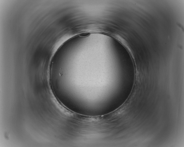 X0000099481195200805161127