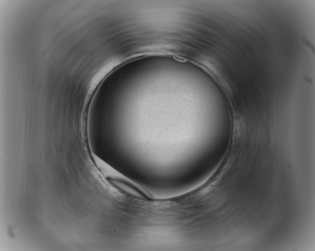 X0000099481196200805161127