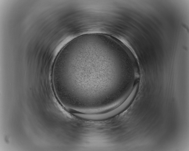 X0000099481197200805161127