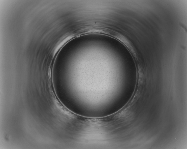 X0000099481198200805161127