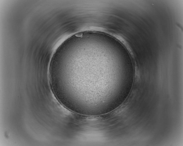 X0000099481199200805161127