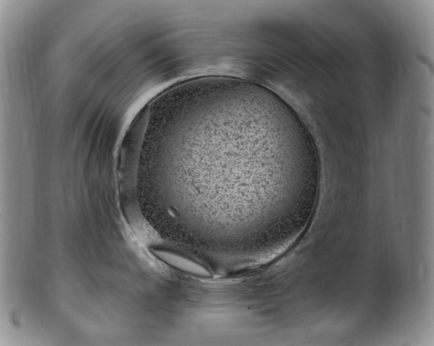 X0000099481200200805161127