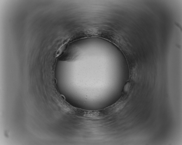 X0000099481201200805161126