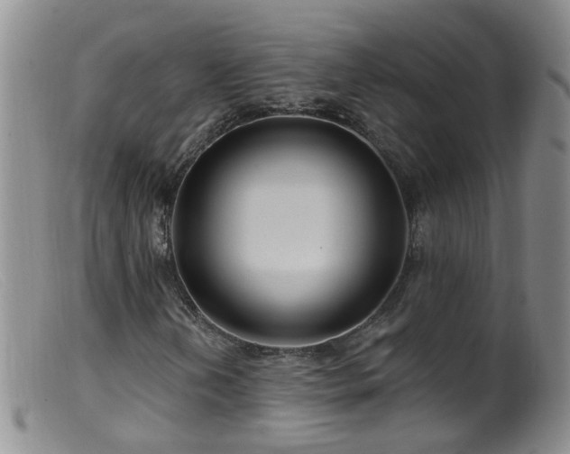 X0000099481202200805161126