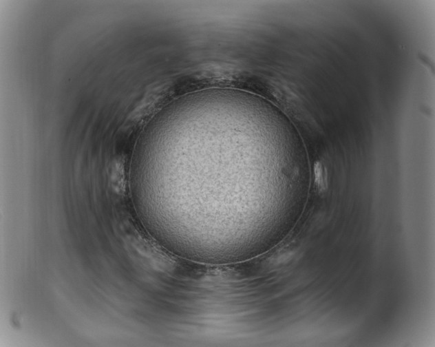X0000099481203200805161126