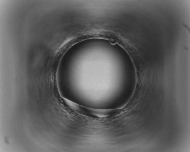 X0000099481206200805161126