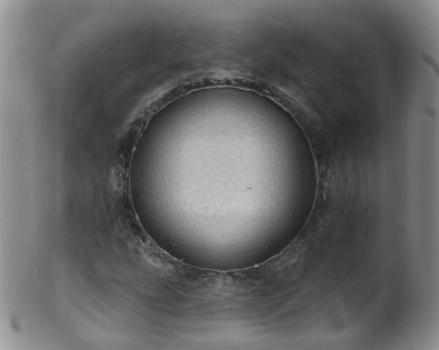 X0000099481207200805161127
