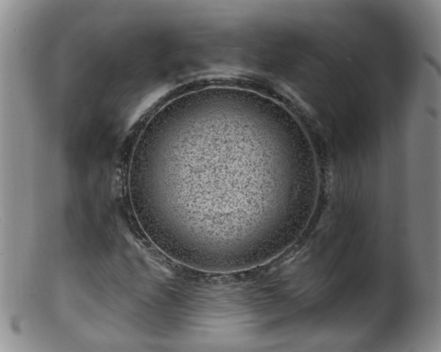 X0000099481208200805161127
