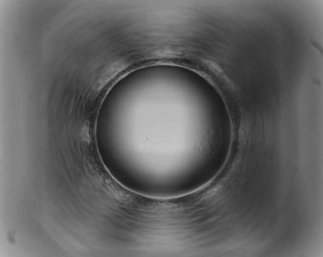 X0000099481209200805161127