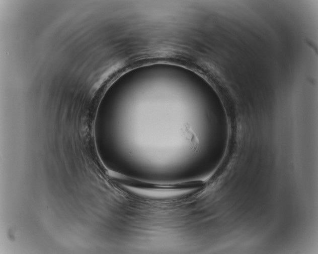 X0000099481210200805161127