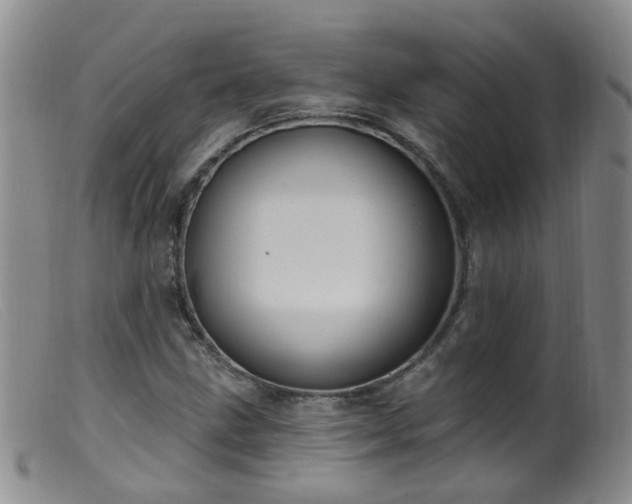 X0000099481211200805161127