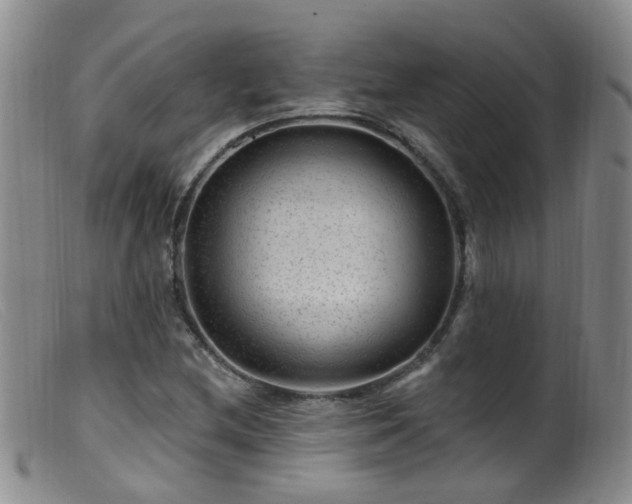 X0000099481212200805161127