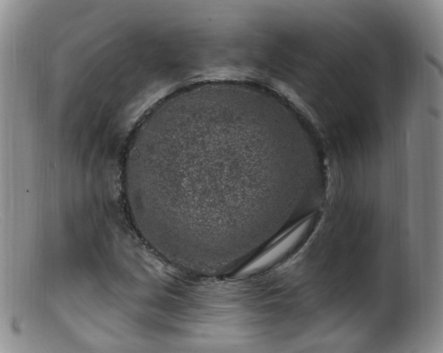 X0000099481213200805161127