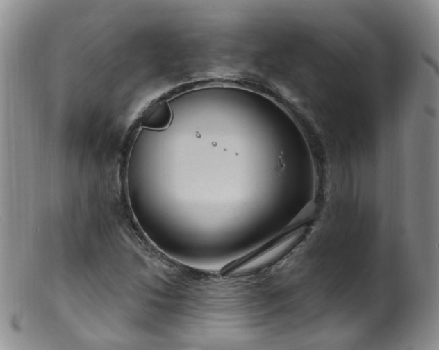 X0000099481214200805161127