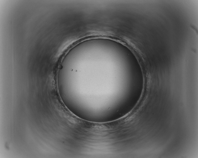 X0000099481215200805161127