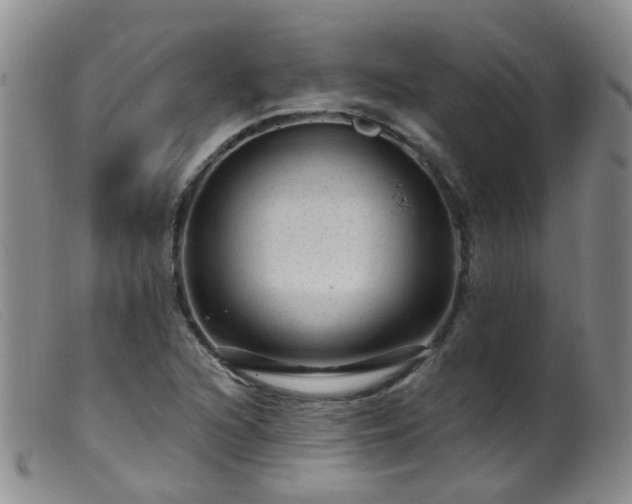 X0000099481216200805161127