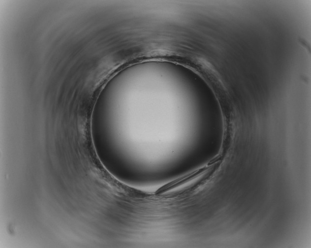 X0000099481217200805161127