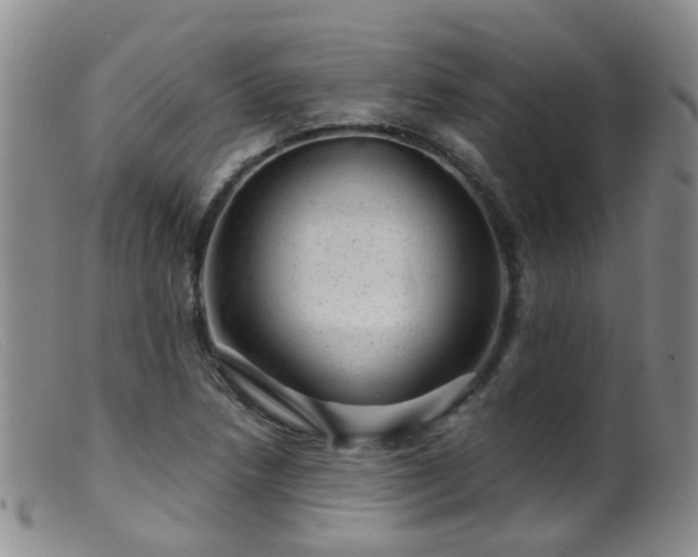 X0000099481218200805161127