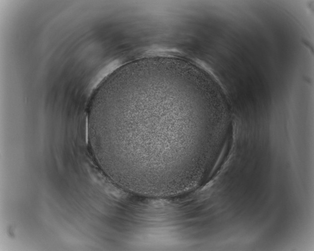 X0000099481219200805161127