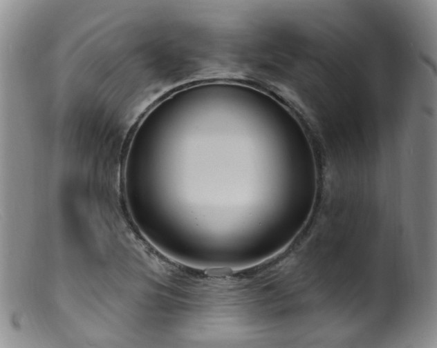 X0000099481220200805161127