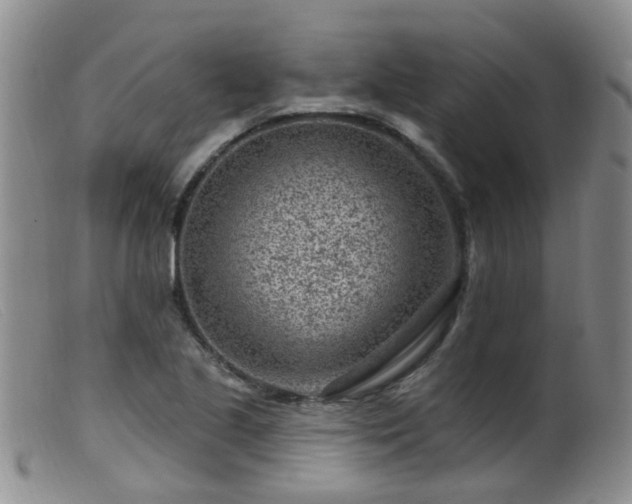 X0000099481221200805161127