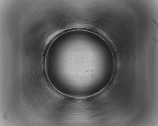 X0000099481222200805161127