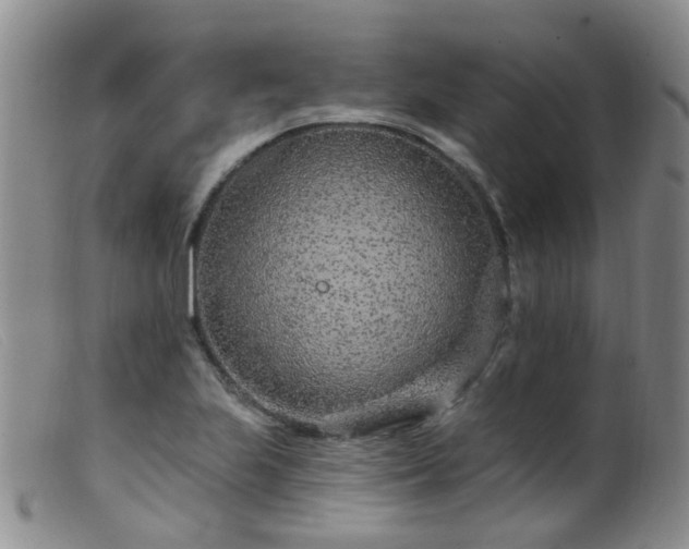 X0000099481223200805161127